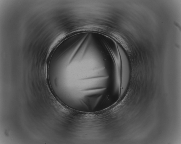 X0000091521180200709071010