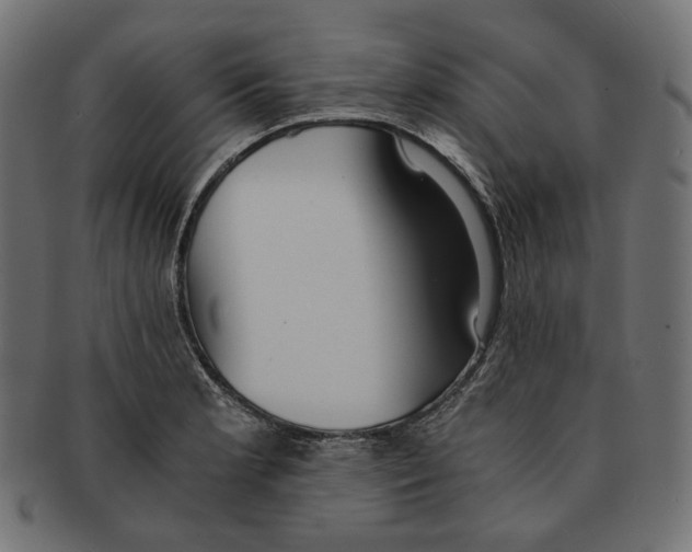 X0000091521181200709071010