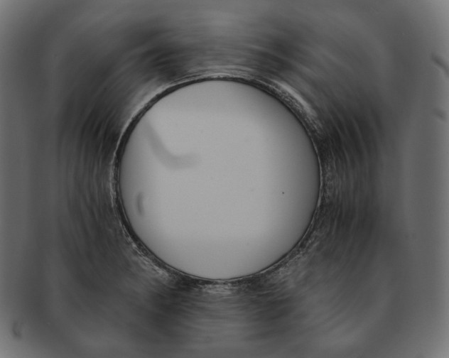 X0000091521182200709071010