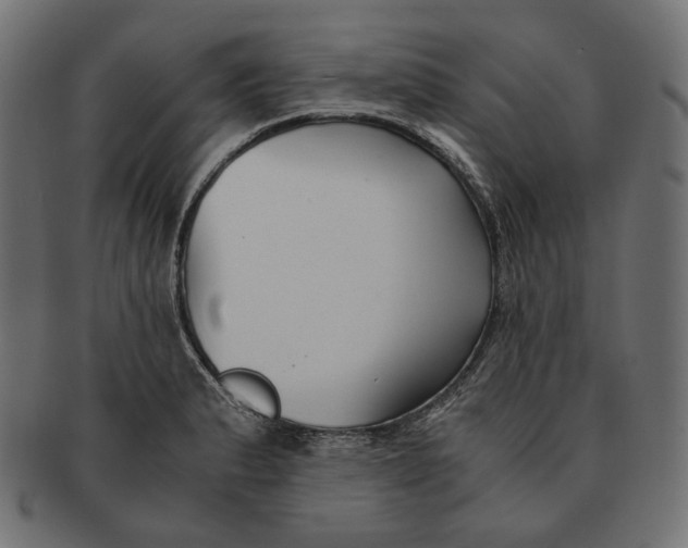 X0000091521183200709071010