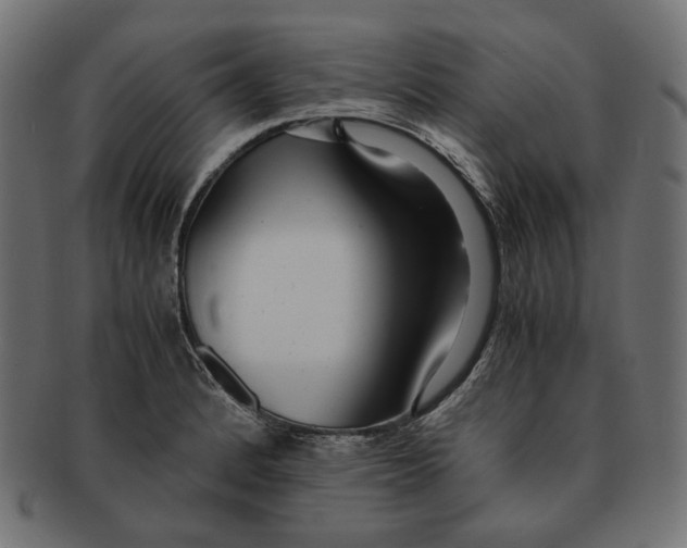 X0000091521184200709071010