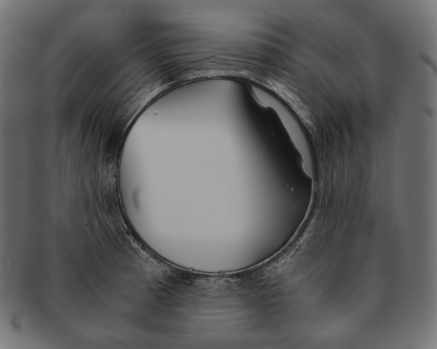 X0000091521185200709071010