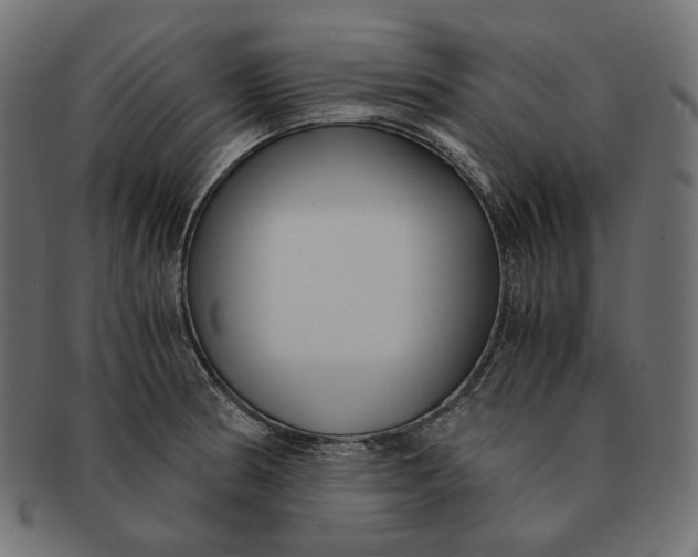 X0000091521186200709071010