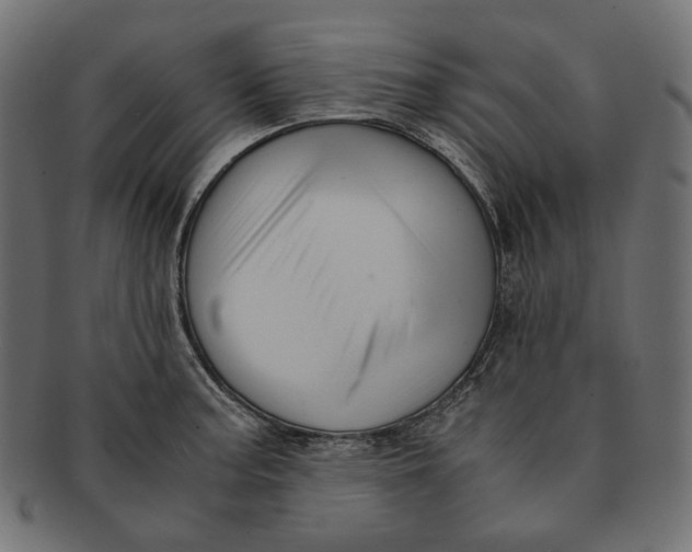 X0000091521187200709071010