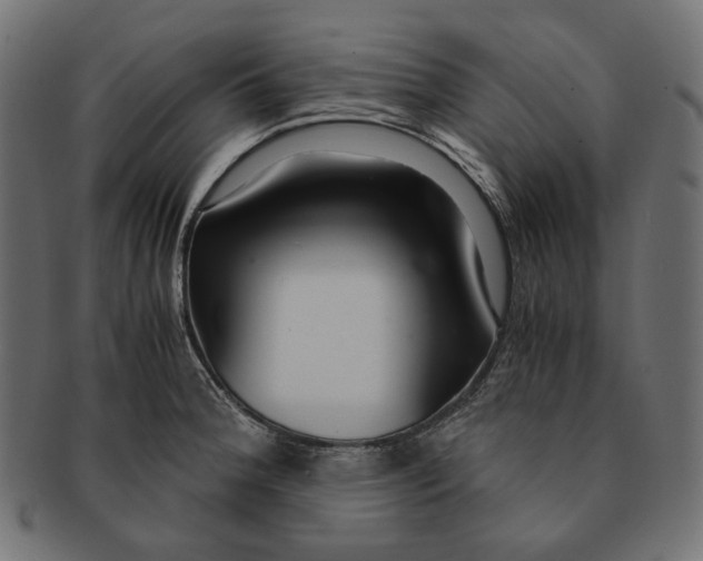 X0000091521188200709071010