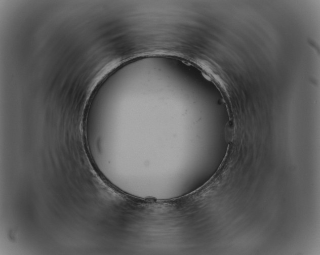 X0000091521189200709071010