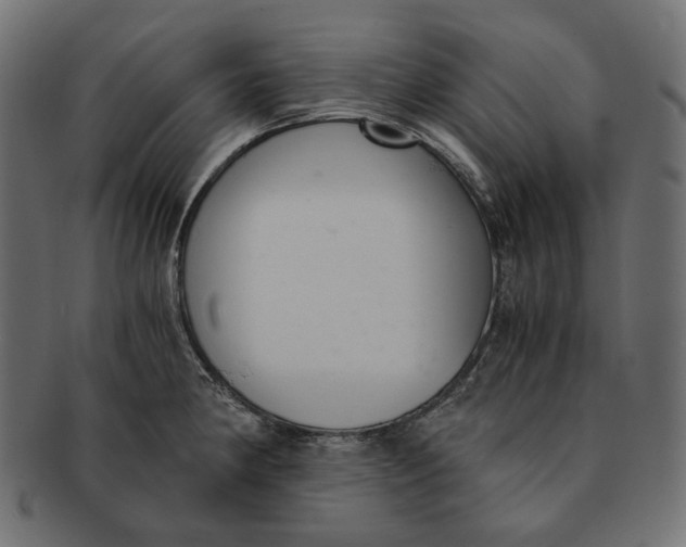 X0000091521190200709071010