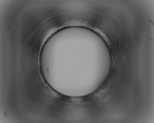 X0000091521191200709071010