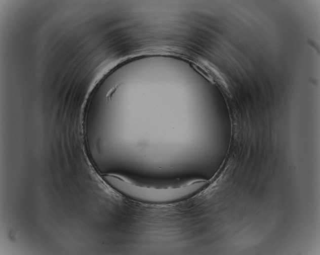 X0000091521192200709071010