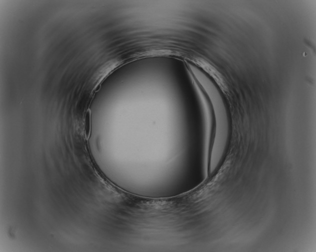 X0000091521193200709071010