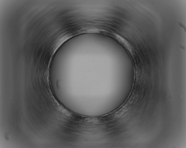 X0000091521194200709071010