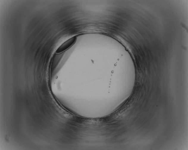 X0000091521195200709071009