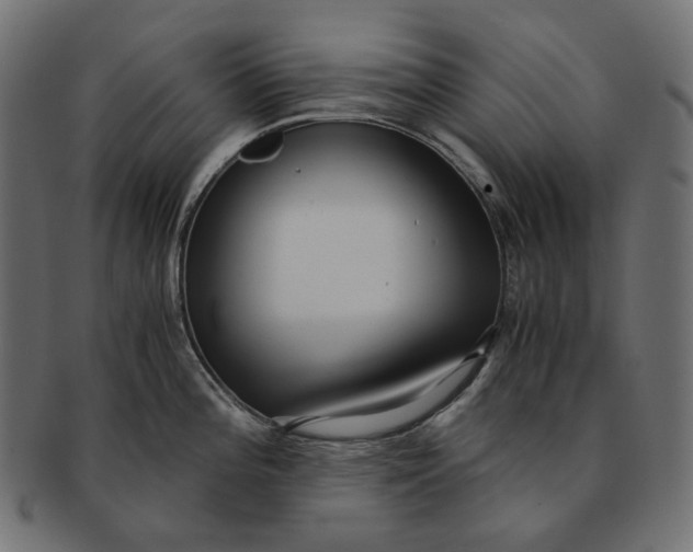 X0000091521196200709071009