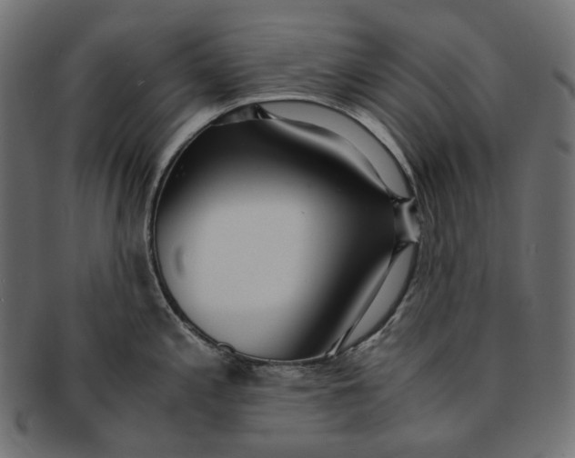 X0000091521197200709071009