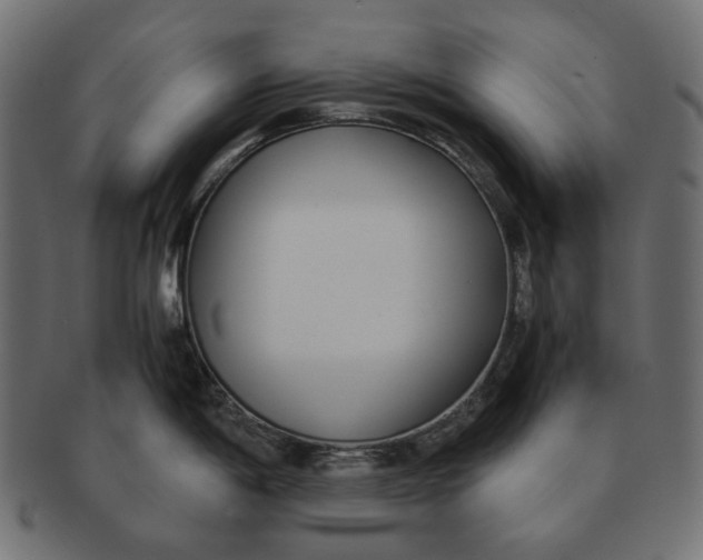 X0000091521198200709071009