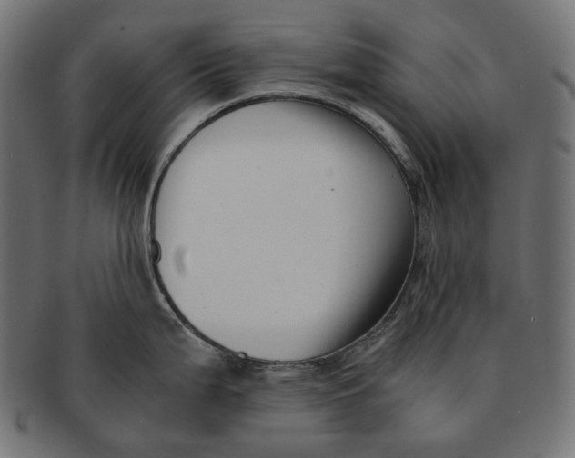 X0000091521199200709071009