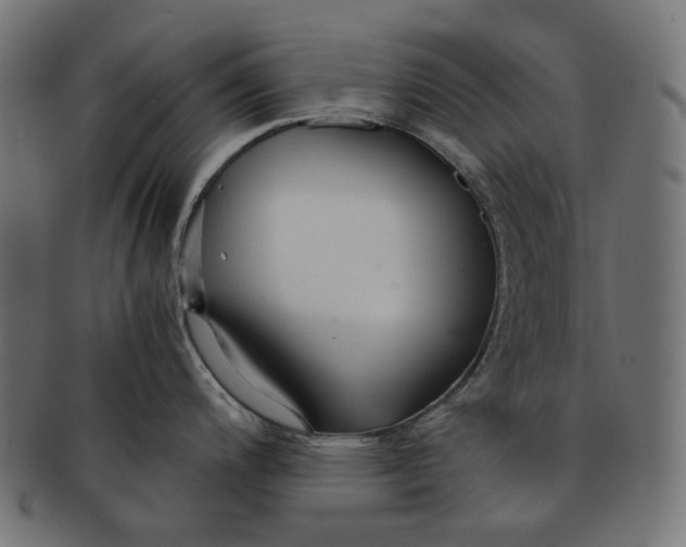 X0000091521200200709071009