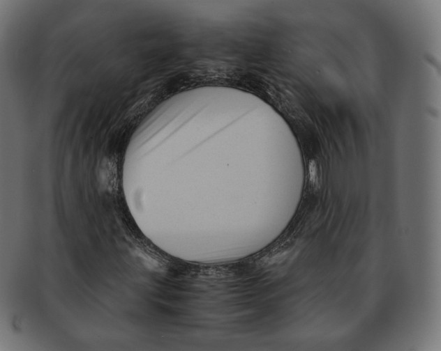 X0000091521203200709071009