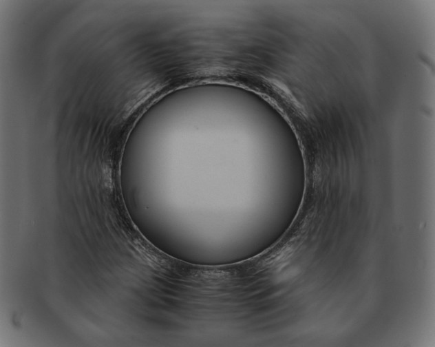 X0000091521209200709071009