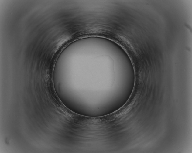 X0000091521210200709071009