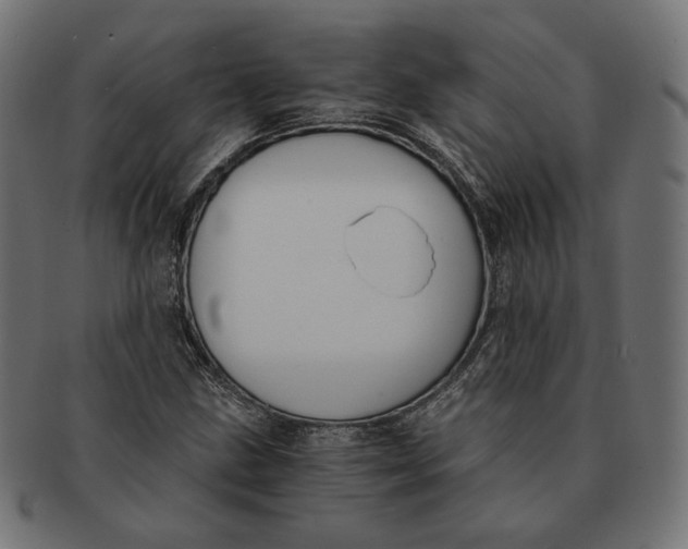 X0000091521211200709071009