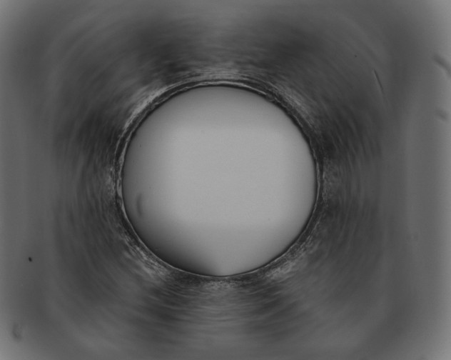 X0000091521212200709071009