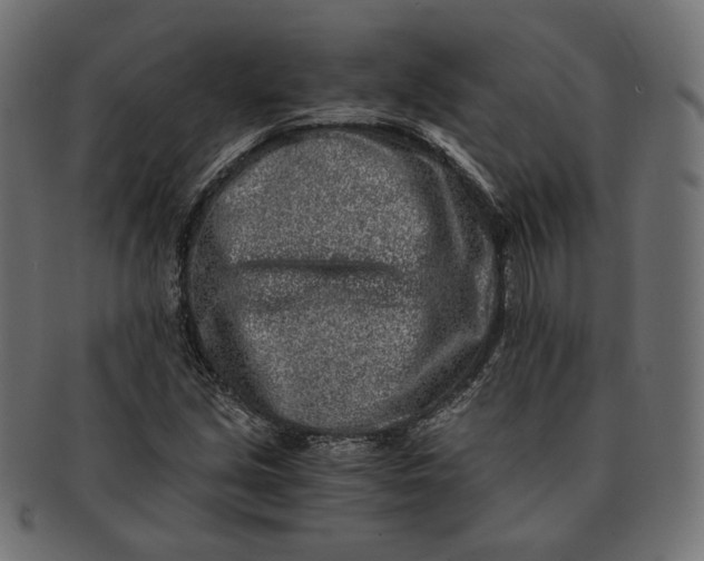 X0000091521213200709071009