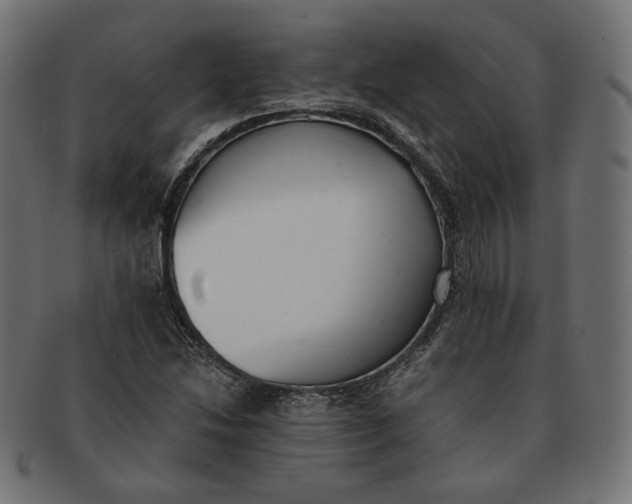 X0000091521214200709071009