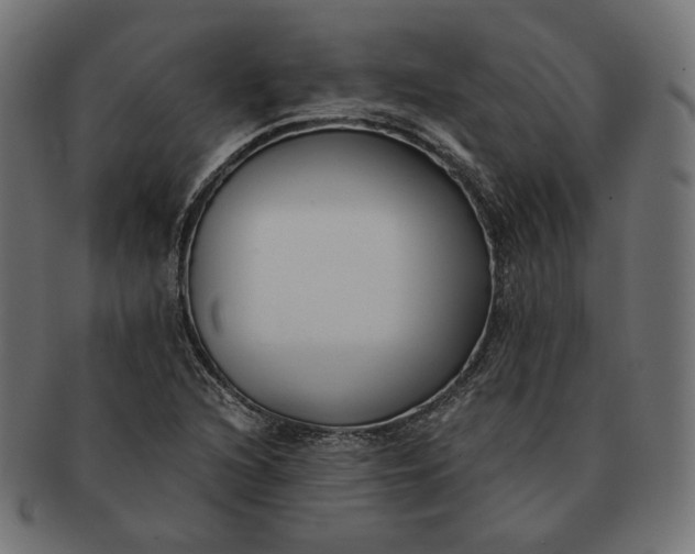 X0000091521216200709071009