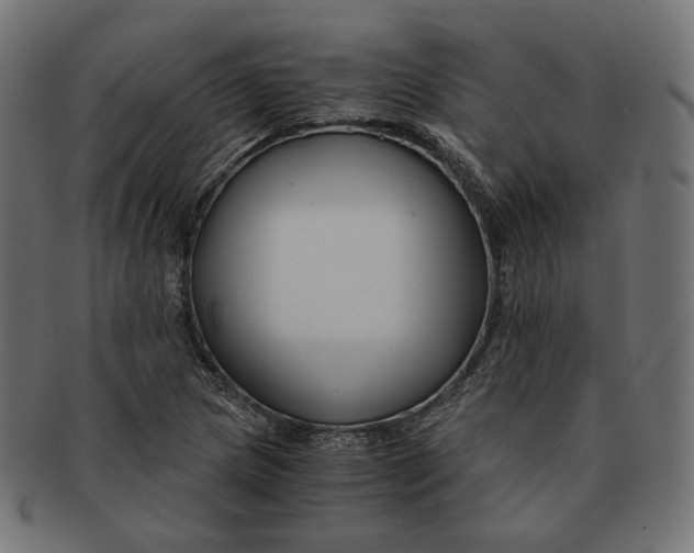 X0000091521217200709071009