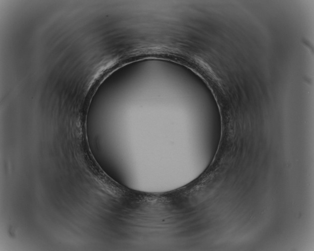 X0000091521218200709071009