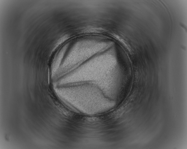 X0000091521219200709071009