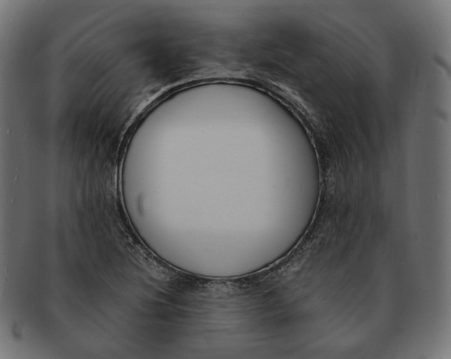 X0000091521220200709071009