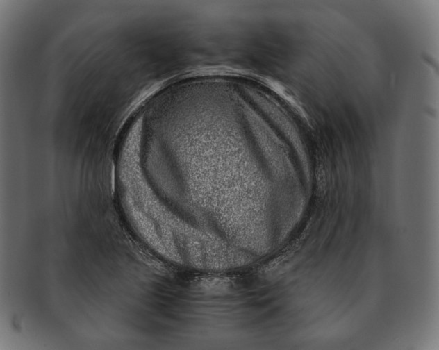 X0000091521221200709071009