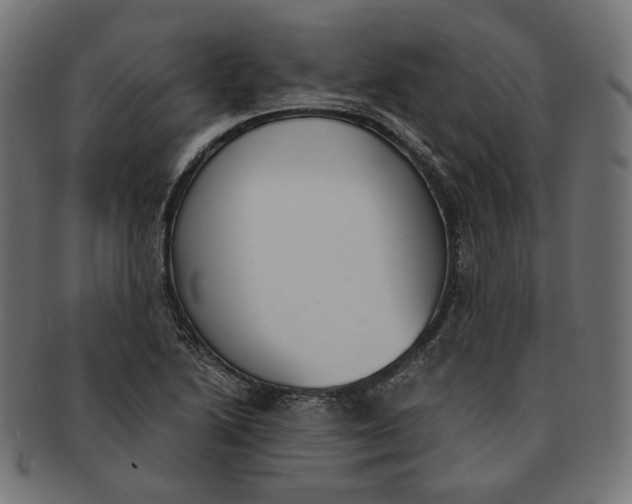 X0000091521222200709071009