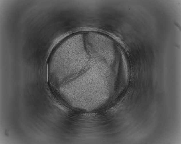 X0000091521223200709071009