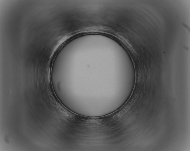 X0000091521224200709071009