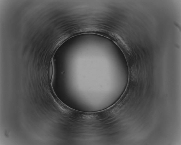 X0000091521225200709071009