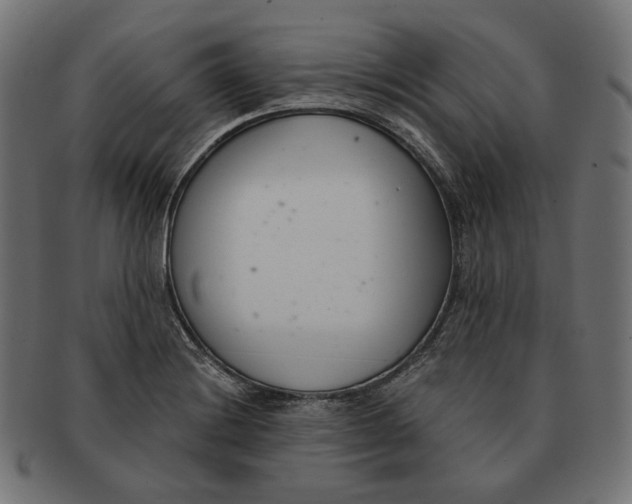 X0000091521228200709071009