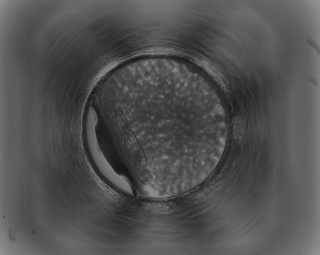 X0000091521229200709071009