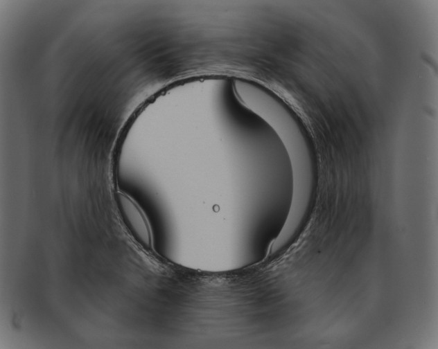 X0000091521230200709071009