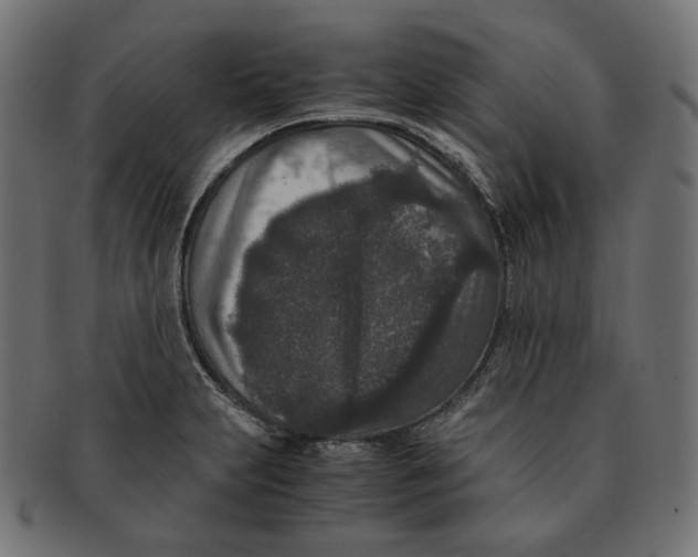 X0000091521231200709071009