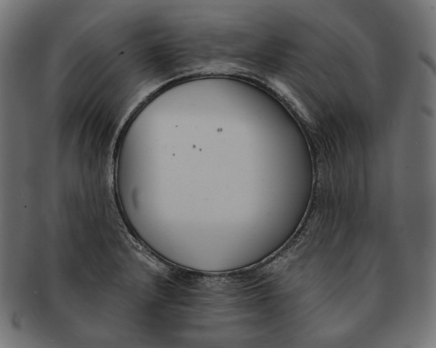 X0000091521232200709071009