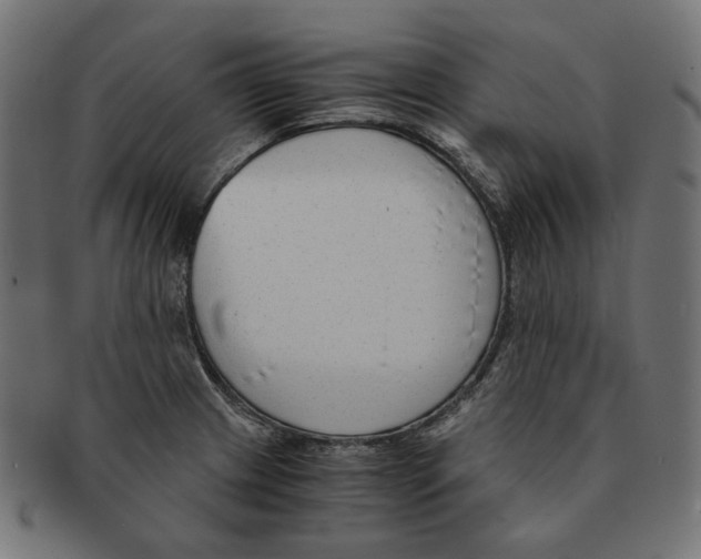 X0000091521233200709071009