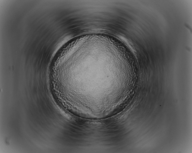 X0000091521235200709071009