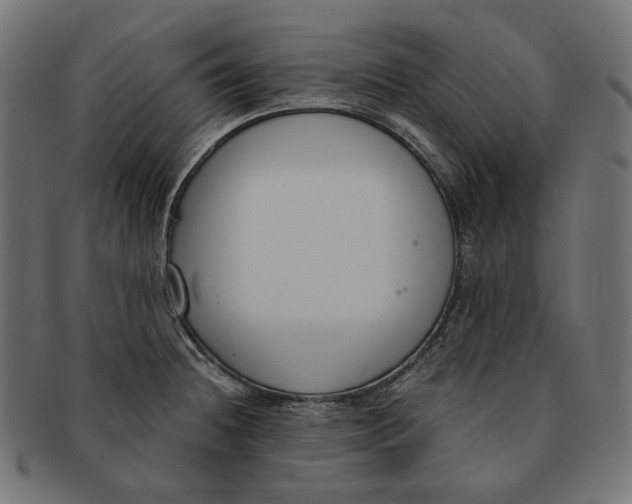 X0000091521236200709071009