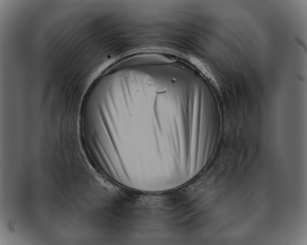 X0000091521237200709071009