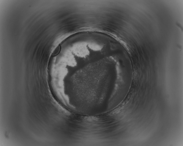 X0000091521239200709071009