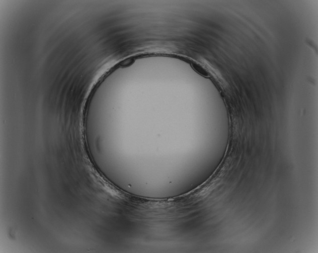 X0000091521240200709071009