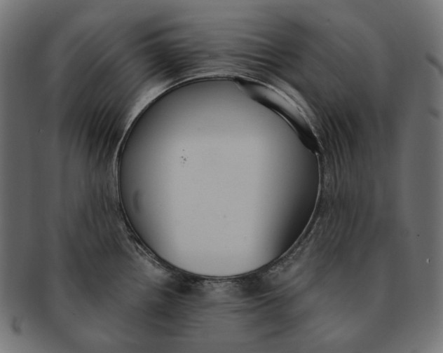 X0000091521242200709071009